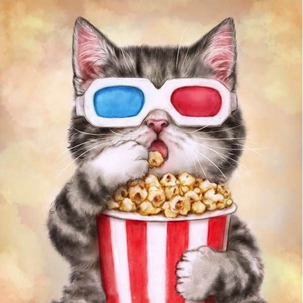 Chat au cinéma
