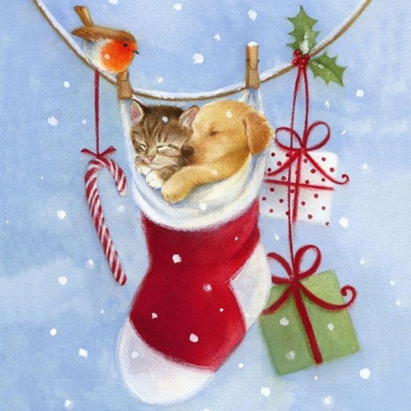 Animaux de Noël | 11 espèces