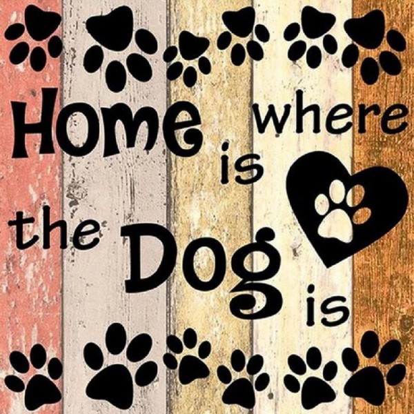 Home is where the dog is