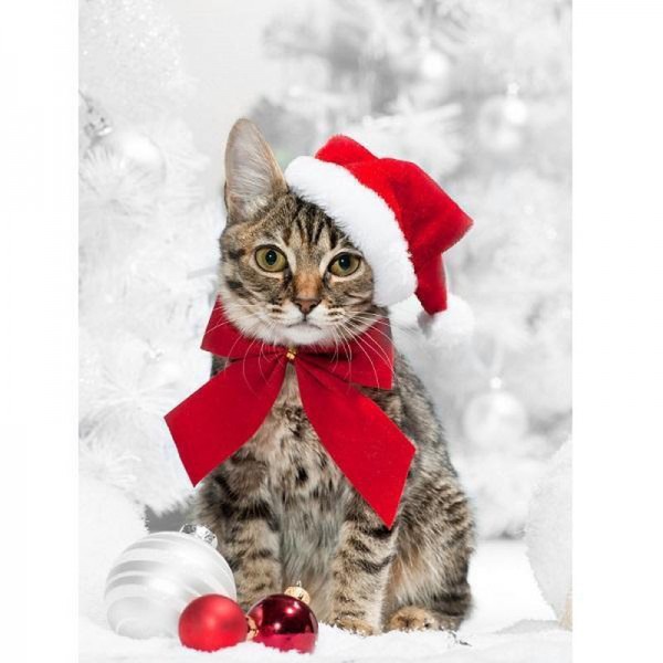Chat de Noël
