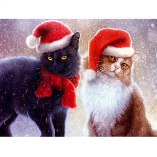 Chats de Noël