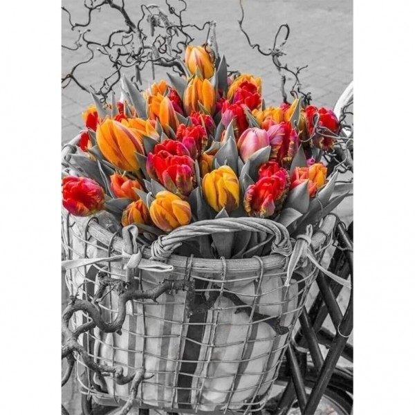 Tulipes dans le panier