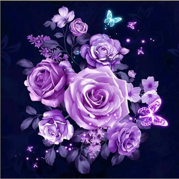 Roses violettes