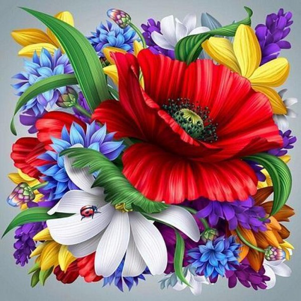 Diverses fleurs colorées