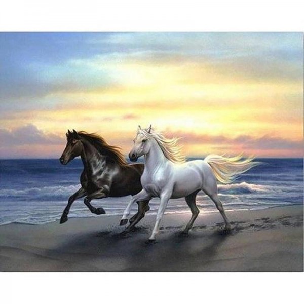 Chevaux sur la plage