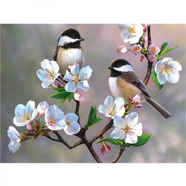 Oiseaux dans les arbres en fleurs