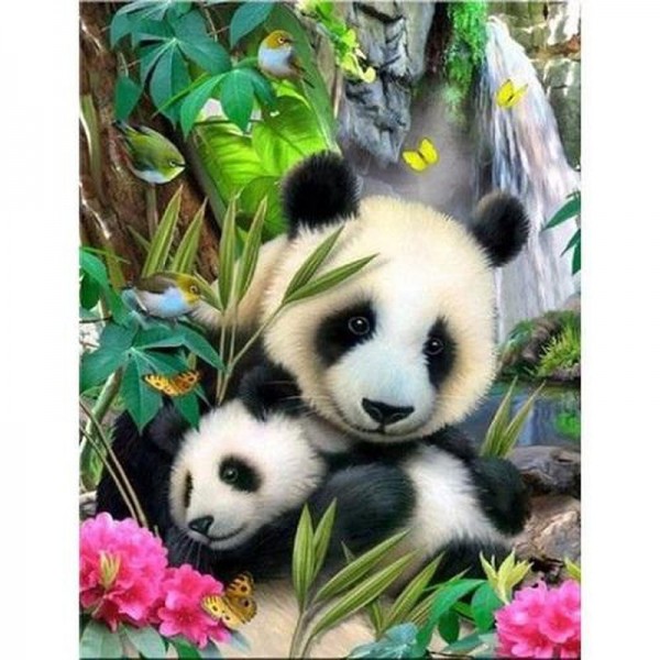 Panda avec son petit