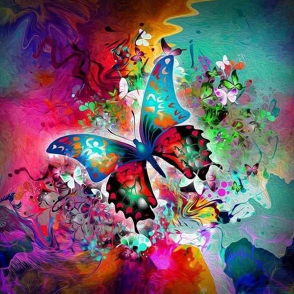 Papillon en différentes couleurs