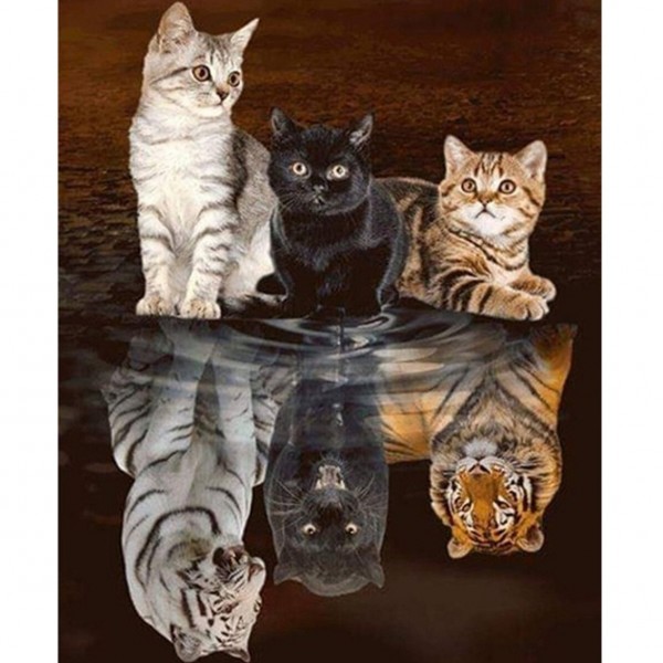Reflet de 3 chatons